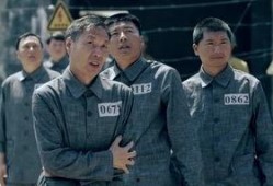 出卖 在线观看,揭秘“出卖”背后的故事与真相